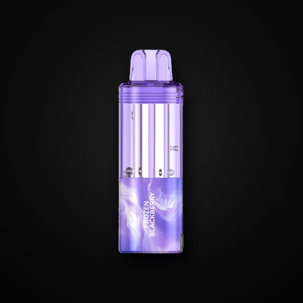 Foger Switch Pro 5% 30000 Puffs 19ml Pods 5ct Frozen Blackberry